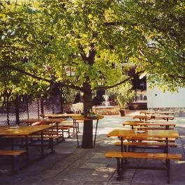 Feketerigó Panzió Mátrafüred - Külső kép