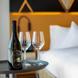 Avar Hotel Mátrafüred - Egyéb