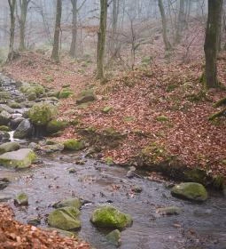 484. legjobb látnivaló: Kallók-völgye