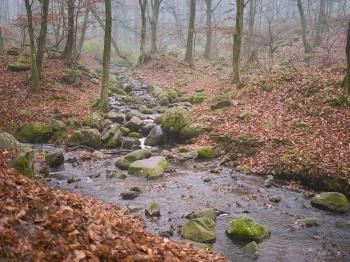 Kallók-völgye Mátraháza
