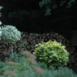 Templomvölgy Resort Mátrakeresztes - Medence/kert