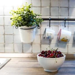 Vaskúti Faház Mátraszentistván - Egyéb