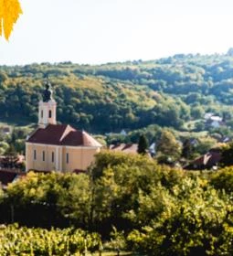 Mecseknádasdi pincesor