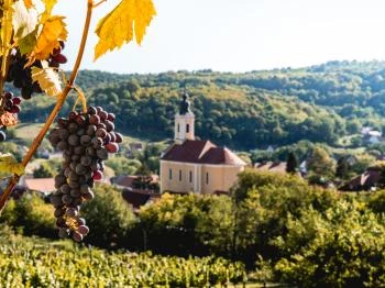 Mecseknádasdi pincesor Mecseknádasd