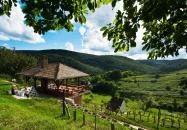 Hetényi Családi Pincészet Vendégháza Mecseknádasd