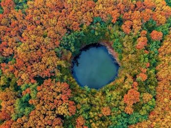 Battonyai Feneketlen-tó Mezőhegyes