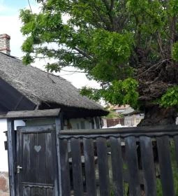 Gari Margit Emlékház és Zeneház