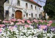 Mezőkövesd - Matyó Múzeum