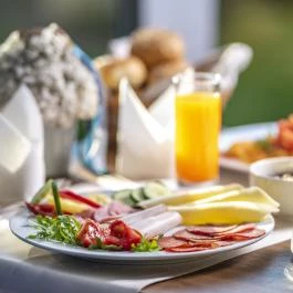 Balneo Hotel Zsori Thermal & Wellness Mezőkövesd - Vendéglátás