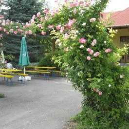 Hotel Ametyst Mezőkövesd - Medence/kert