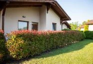 Pandora Zsóry Apartmanok Mezőkövesd