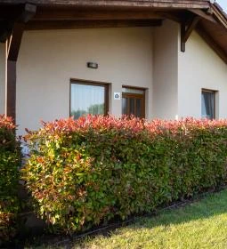 Pandora Zsóry Apartmanok