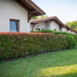 Pandora Zsóry Apartmanok Mezőkövesd - Külső kép