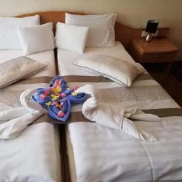 Zsóry Hotel Zen & Spa Mezőkövesd - Szobák