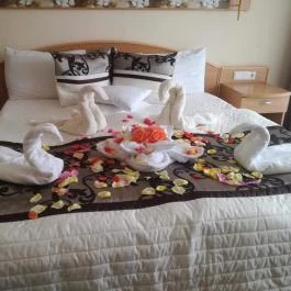 Zsóry Hotel Zen & Spa Mezőkövesd - Szobák