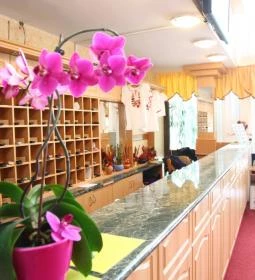 Zsóry Hotel Zen & Spa