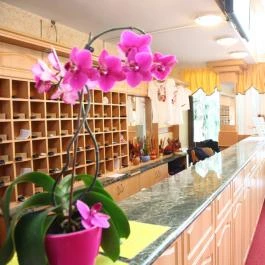 Zsóry Hotel Zen & Spa Mezőkövesd - Belső