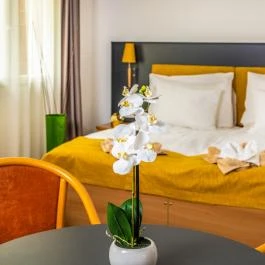 Zsóry Liget Hotel & Spa Mezőkövesd - Szobák