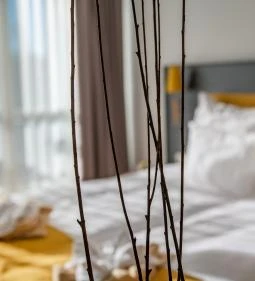 Zsóry Liget Hotel & Spa