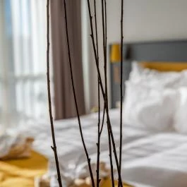 Zsóry Liget Hotel & Spa Mezőkövesd - Szobák