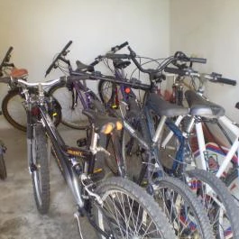 Árnyas Vendégház Mikófalva - Szórakozás/Sport