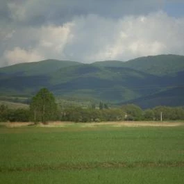 Árnyas Vendégház Mikófalva - Környék