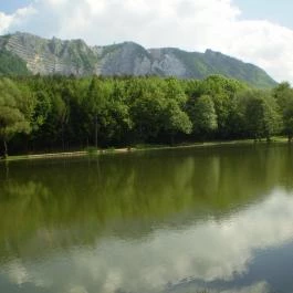 Árnyas Vendégház Mikófalva - Környék