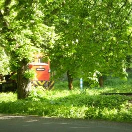 Árnyas Vendégház Mikófalva - Környék