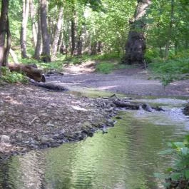 Árnyas Vendégház Mikófalva - Környék