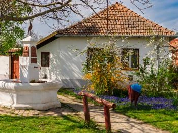 Borda-kút Mindszent