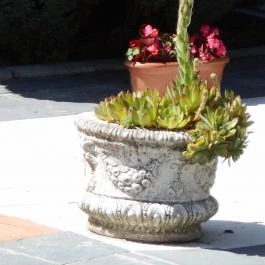 Fábiánics Kastély Misefa - Medence/kert