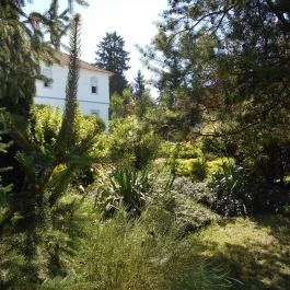 Fábiánics Kastély Misefa - Medence/kert