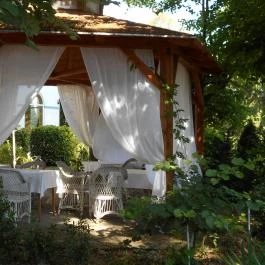 Fábiánics Kastély Misefa - Medence/kert