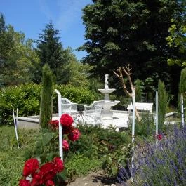 Fábiánics Kastély Misefa - Medence/kert