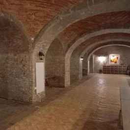 Fábiánics Kastély Misefa - Vendéglátás