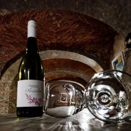 Fábiánics Kastély Misefa - Vendéglátás