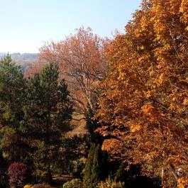 Fábiánics Kastély Misefa - Szobák