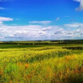 Fábiánics Kastély Misefa - Egyéb