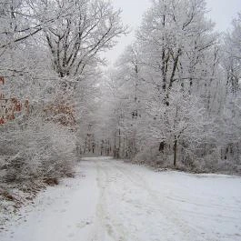Fábiánics Kastély Misefa - Egyéb