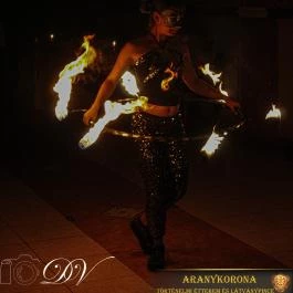 Aranykorona Történelmi Étterem & Látványpince Miskolc - Egyéb