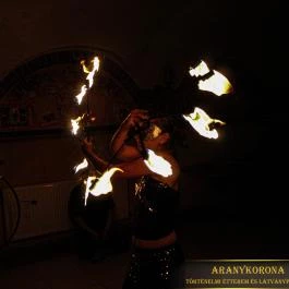 Aranykorona Történelmi Étterem & Látványpince Miskolc - Egyéb