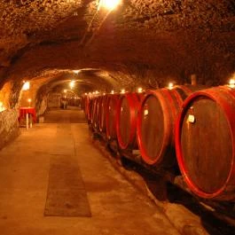 Aranykorona Történelmi Hotel-Étterem & Látványpince Miskolc - Egyéb