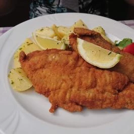 Rákóczi Pince Étterem Miskolc - Egyéb