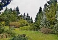 Avasi Arborétum Miskolc