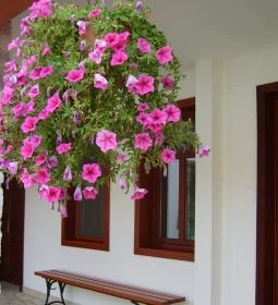 Diósgyőri Várkert Panzió