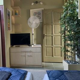 Fenyő Vendégház Miskolc - Egyéb