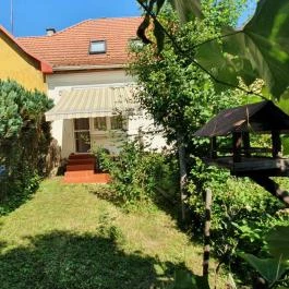 Majális Vendégház Miskolc - Medence/kert