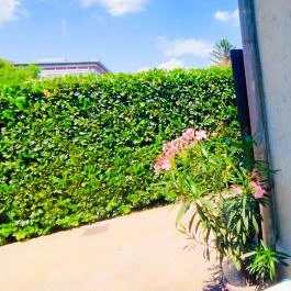 Rákóczi Vendégház Miskolc Miskolc - Egyéb