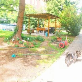 Rákóczi Vendégház Miskolc Miskolc - Egyéb