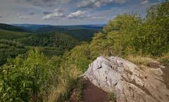 Gulicska-tető